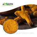 Amulyn Health Care Organic Turmeric Extract.